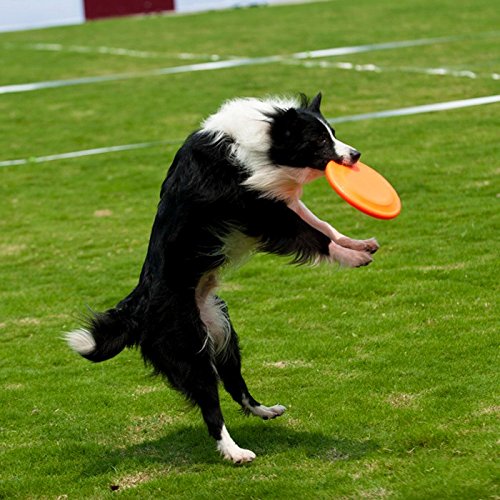 [Australia] - TEESUN Dog Frisbee Training Toys Flying Discs Flyer Silicone for Big Small Dogs Soft Tooth Resistant Rubber 6 Pack (Red Blue Green Yellow Orange) 