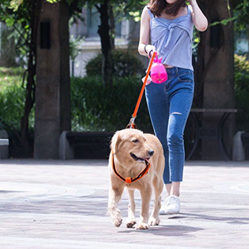 [Australia] - URPOWER Dog Harness Durable Dog Leash Heavy Duty & Adjustable Dog Collar Anti-Twist Dog Leash Harness for Small Medium & Large Dogs Perfect for Walking Running Training L(20.6"-28.5"Chest Girth) 