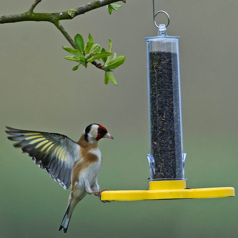 Niger Seed Bird Feeder - Goldfinch Finder - ideal for offering niger seeds that goldfinches love. Ready-filled! 1 Holds 75g of niger seed, Length 18cm - PawsPlanet Australia