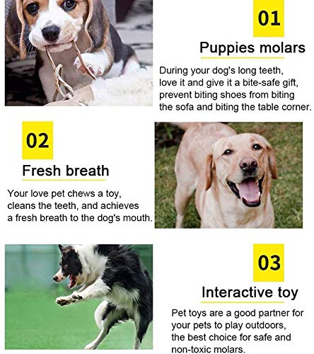 YYOJ Squeaky Dog Toys,Soft Dog Toys for Teeth Cleaning Funny Goose Shapes Interactive Training Toys for Puppy Small Medium Dogs - PawsPlanet Australia