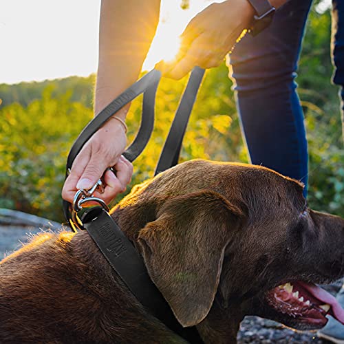 Mighty Paw Leather Dog Leash | 5 ft Leash Super Soft Distressed Real Genuine Leather- Premium Quality, Modern Stylish Lead. Perfect for Small, Medium and Large Pets Lite 1 - 30 lbs Black - PawsPlanet Australia