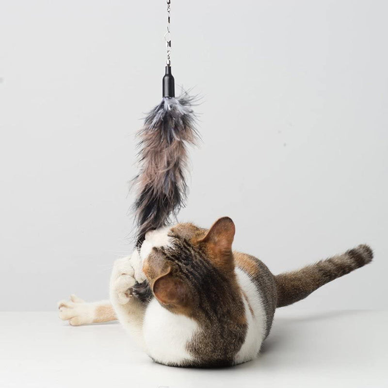 MAIYADUO Cat Teasers Cat Feather Wand Cat Toy Interactive Toy Feather Wand with Bell 5x Natural Feather Refills - PawsPlanet Australia