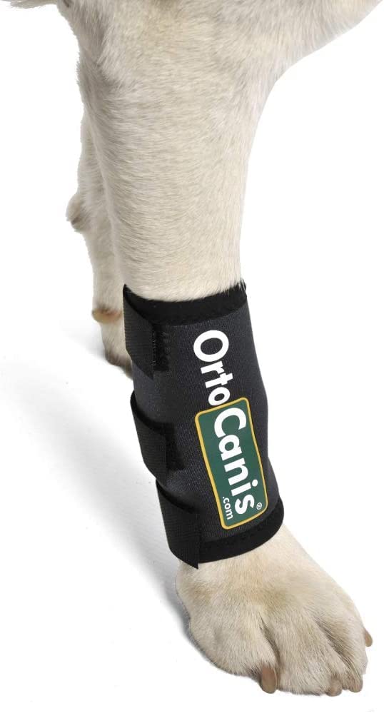 Ortocanis Original Carpal wrap for Dogs with Arthritis, Injuries in The Front Leg - Canine Wrist Brace Keeps The Joint Warm, Reduces Pain and Inflammation (XX-Small) XX-Small - PawsPlanet Australia