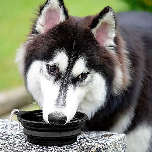 Kytely Large Collapsible Dog Bowls 2 Pack, 34oz Foldable Dog Travel Bowl, Portable Dog Water Food Bowl with Carabiner, Pet Cat Feeding Cup Dish for Traveling, Walking, Parking Black & Black - PawsPlanet Australia