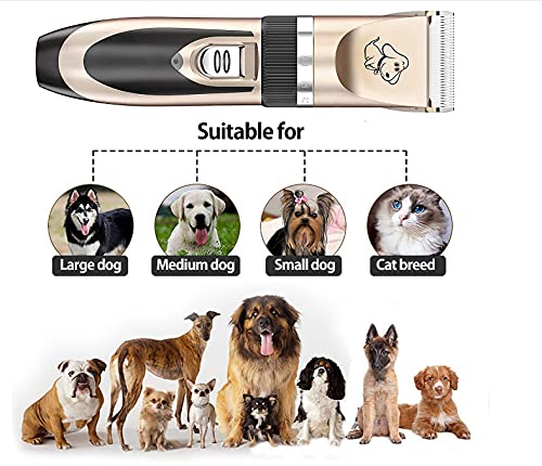 Everesta Dog clippers, Low Noise Rechargeable Cordless Pet Dogs and Cats Electric Grooming Clippers Kit with Shears and Comb (Gold+Black) P-2 - PawsPlanet Australia