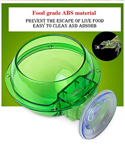 ass Anti-Escape Reptile Cup Gecko Bowl, Suction Cup Reptile Feeder，Chameleon Accessories, Worm Live Fodder Container,Translucent Home Pet Feeder Supplies Accessories for Tortoise Gecko Snakes Iguana - PawsPlanet Australia