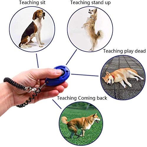 Golden Apple 4-Pack Dog Training Clicker with Wrist Strap for Pet, Puppy, Cat - PawsPlanet Australia