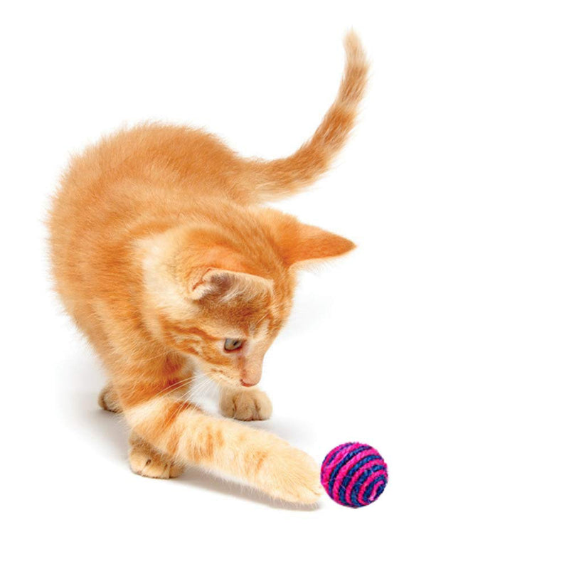 Amasawa Cat Toy Set,16 Piece Cat Toys Indoor Catnip Toy Cat Ball Cat Feather Stick Interactive Cat Toy Indoor Suit Cat, Wrinkle Rainbow Ball and Bell Indoor Puppy Toy - PawsPlanet Australia