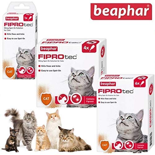 Beaphar FIPROtec Spot On Solution for Cats (6 Treatment 30 wks) 6 Treatment 30 wks - PawsPlanet Australia