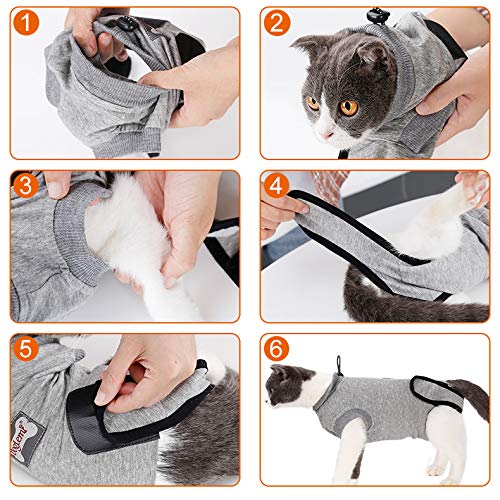 BT Bear Pet Surgery Recovery Suits,Cats Clothes Abdominal Wounds Skin Diseases E-Collar Alternative Cotton Cat Shirt for Cats Puppy Small Dogs (XXS-Back length 25cm) XXS--Back length 25cm,Chest--27cm - PawsPlanet Australia