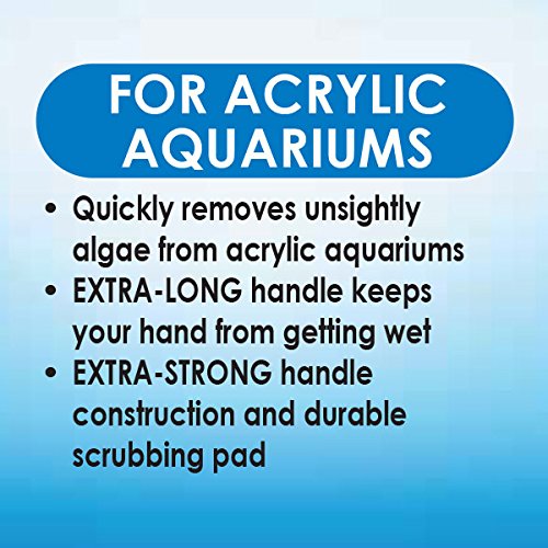 API ALGAE SCRAPER For Acrylic Aquariums 1-Count Container - PawsPlanet Australia