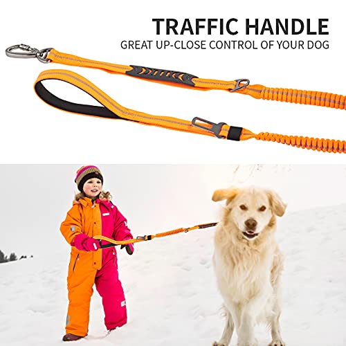 Dog Leash Multi-Functional Shock-Proof Explosion-Proof Elastic Retractable Leash Anti-Luminous Leash, with car seat Belt Buckle, Suitable for Medium and Large Dogs Under 150 pounds. 橙色 - PawsPlanet Australia
