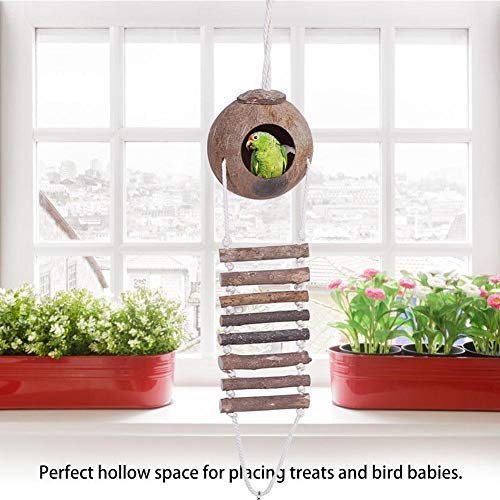 TOPINCN Coconut Shell Bird Nest Natural Breeding Nest Pet Parrot Hideaway House With Rope Ladder for Bird And Small Animal Toy 2 Sizes (#2) #2 - PawsPlanet Australia