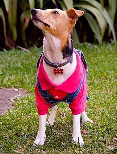 [Australia] - Parisian Pet Dog Polo Shirts - 100% Cotton, Breathable Dog Summer Clothes | Bright Colors, Casual Pet Outfits for Boy/Girl Puppy, Dogs and Cats XS Pink Polo 