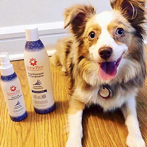 [Australia] - Aroma Paws Dog Shampoo – Cleansing Wash, Conditioning, Moisturizing – Toxin Free, Healthy Ingredients – Aromatic Grooming Puppy Shampoo – Tearless Cleaner, 13.5oz Lavender Chamomile 