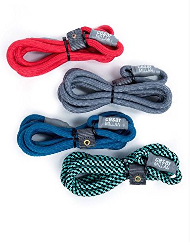 Cesar Millan Slip Lead Leash - Slip Collar Training Lead Gives You Greater Control and The Ability to Make Quick and Gentle Corrections Small Grey - PawsPlanet Australia