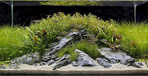 TM Aquatix Aquarium Sand White Fish Tank Gravel Natural Substrate (1kg, Grey 2-3mm) 1kg - PawsPlanet Australia