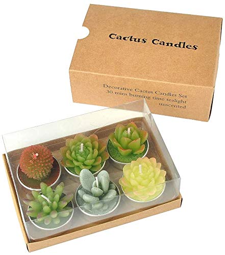 SanSeng Cactus Tealight Candles, Handmade Delicate Succulent Cactus Candles（ Perfect for Birthday Party ,Wedding, Spa, Home Decor( 6 Pcs in Pack) - PawsPlanet Australia