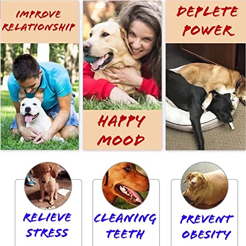 MINIDIO Small Squeaky Dog Balls Interactive Dog Toy for Small Medium Dogs,Puppys Favorite Dog Toys Squeaky and Football Squeak Toy,Emoji Happy Face Dog Toy - PawsPlanet Australia