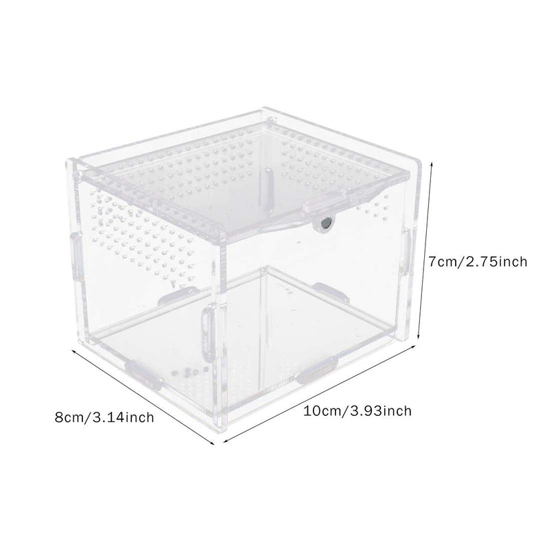 Acrylic Reptile Feeding Box 10x8x7cm Transparent Glass Breeding Box Terrarium with 2 Pcs Straight and Curved Tweezers for Pet Insect Spider Crickets Snails Small(10x8x7cm) - PawsPlanet Australia