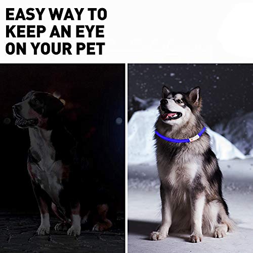 LED Dog Collar,Glow Light Collar for Dogs,Ultra Bright USB Rechargeable Cut to Fit Any Size - Rechargeable Battery - Increased Visibility & Safety For Your Pets(Blue) Blue - PawsPlanet Australia