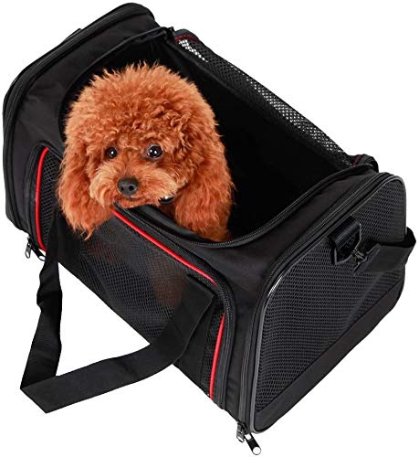 [Australia] - A4Pet Collapsible Cat and Dog Carrier, Top Loading, Sturdy Bottom, Easy Storage L 