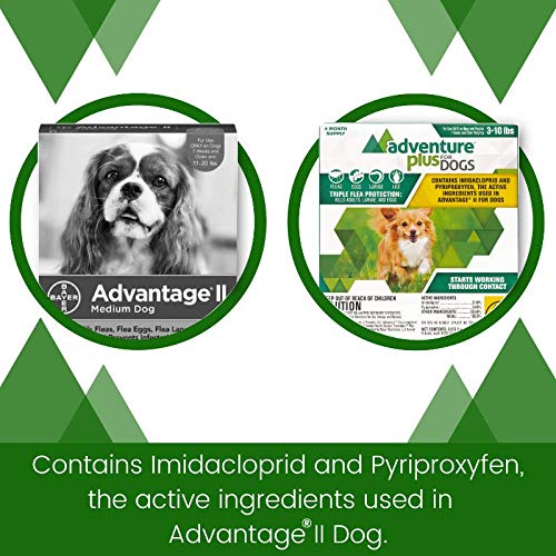 Adventure Plus Flea Prevention for Dogs, Topical Flea Treatment and Control (Small, Medium, Large, X-Large) 4 Dose Small (3-10 lb) - PawsPlanet Australia