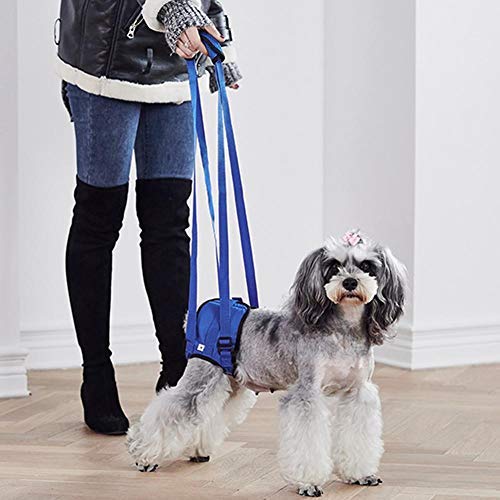 Dog Walking Lifting Carry Lift Support Harness Dog Sling Assist Belt Breathable Dog Mobility Recovery Sling for Hip Assist Stability Injured Disabled Arthritis Joint Pain Elderly(XXL) XXL - PawsPlanet Australia