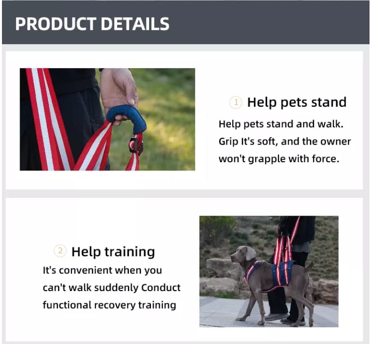 XTrador dog harness carrying aid for dogs especially for hip problems carrying strap for injured, older or musculoskeletal limited dogs rehabilitation safety walking aid (S) S - PawsPlanet Australia