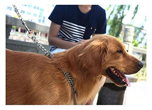 [Australia] - Beirui Dog Pet Martingale Pinch Metal Slip Choke Stainless Steel Chain Collar for Training Walking Obedience Behavior Link Double Plated for Small Medium and Large Dogs M:3mm x 17.5-21.5'' Neck Sliver 