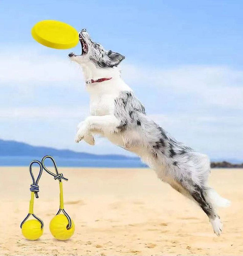 MoonZD Frisbee Dog,Durable Rubber Flying Disc,Lightweight,Indestructible Dog Chew Toys,Floats on Water–Great for Beach and Pool,Dog Interactive Toys Outdoor,Professional Dog Training Equipment - PawsPlanet Australia