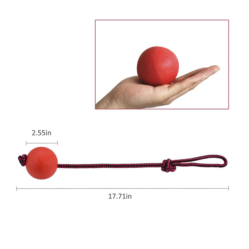 Legendog Dog Rope Ball, 3 Pcs Ball on a Rope Dog Toy Natural Elastic Solid Rubber Dogs Balls Chew Toys for Small Dogs - PawsPlanet Australia