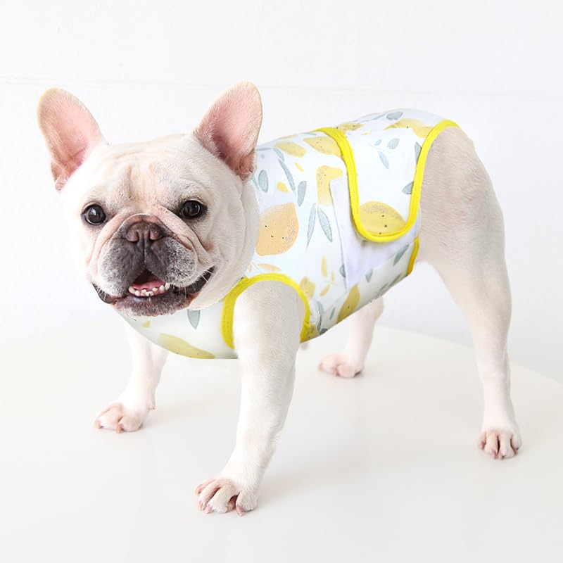 KONVINIT recovery suit for dogs, dog bodysuit after surgery castration, breathable wound protection for puppies dog suit after surgery male castration, alternative neck collar/surgical funnel, yellow L yellow - PawsPlanet Australia