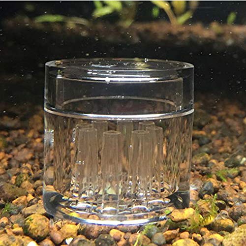 Guador Planaria Trap Clear Crystal Glass 2 and 3 Holes Pest Leech Catcher Acrylic 8 Holes Worm Trap 4 Pieces for Flatworm Turbellaria Snail Fish Prawn Vivarium Tanks Cleaner Accessories Tool - PawsPlanet Australia