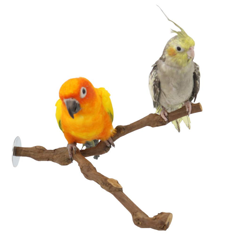 [Australia] - YINGGE Wood Bird Stand Perch, Natural Wild Grape Stick Paw Grinding Standing Climbing Branch Toy Cage Accessories for Small and Medium Parrots Parakeets Cockatiels Lovebirds Sun Conures Caique Y Shape 