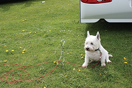 [Australia] - MSA Motorsportandaccessories Dog Anchor TIE Down Stick and Lead Complete KIT - Safely Secure Your Dog OR PET Outside at Home Camping OR Caravan Dog Anchor 
