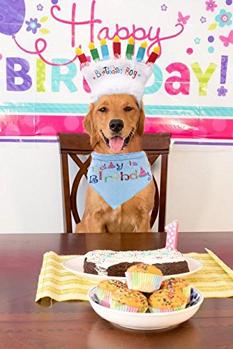 [Australia] - Dog Birthday Bandana with Birthday Candle Headband - Pet Birthday Gift Decorations Set, Soft Scarf & Adorable Hat for Party Accessory Boy 