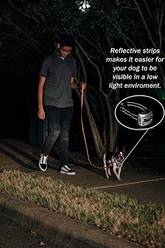 [Australia] - ZELVAH Rechargeable No Bark Collar - Beep/Vibration/No Shock Collar for Small, Medium, Large Dogs-7 Sensitivity Levels / 100% Waterproof/Reflective Strap 