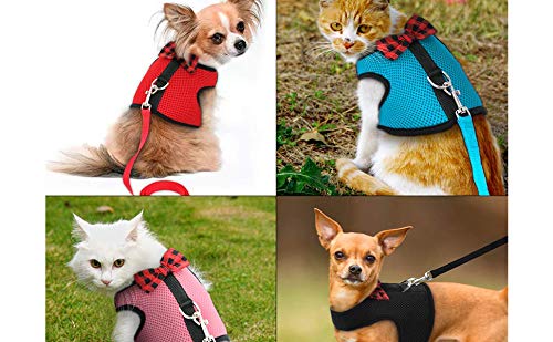 [Australia] - sonicbee Multipurpose Rabbits Hamster Vest Harness with Leash Bunny Mesh Chest Strap Harnesses Ferret Guinea Pig Small Animals Pet Accessories L:Neck 11.38-13.96"，Chest 13.78-15.75" Blue 