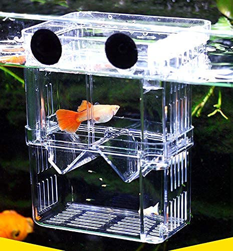 NVAAV Acrylic Fish Breeder Box,5.2'' x 4'' x 2.8'' Fish Isolation Box with Suction Cups, Aquarium Hatchery Incubator for Fry, Shrimp, Clownfish and Babies Guppies - PawsPlanet Australia