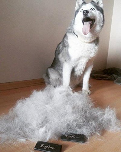 EzzyGroom Dog Brush Ezzy Cat Brush Fur Brush Hit Grooming Dog Comb - PawsPlanet Australia
