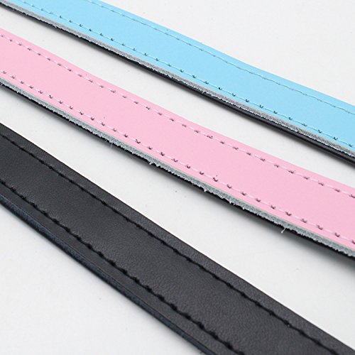 [Australia] - Mcdobexy Classic Soft Padded Leather Dog Collars or Leashes for Cats Puppy Small Medium Larger Dogs M (Neck11.5"-15") Pink 