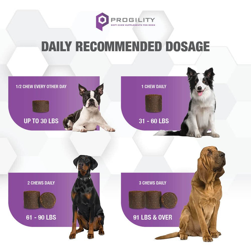 Nootie PROGILITY Daily Soft Chew Supplements for All Size Dogs - Calming Chews, Hip & Joint Chews, Multivitamin Chews, Urinary Chews, Skin and Coat Chews for Dogs - 90 ct - PawsPlanet Australia