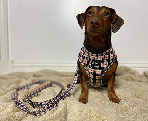 Pet Pooch Boutique Barkberry Windsor Classic Dog Harness Xs - PawsPlanet Australia