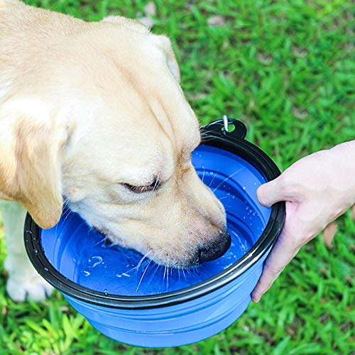 [Australia] - Axgo 1PC Foldable Silicone Dog Bowl Outfit Portable Travel Bowl for Dogs Feeder Utensils Outdoor Drinking Water Dog Bowl, Pink 