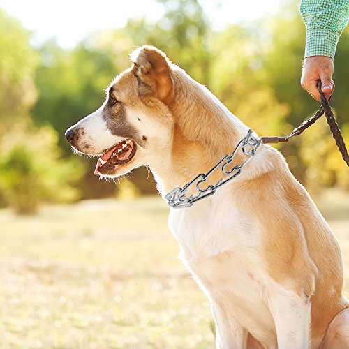 [Australia] - Deluxe Adjustable Prong Training Collar with Quick Release, No-Choke Pinch Collar is Safe and Effective, Chrome-Plated for Maximum Strength, Will Not Rust or Break (Sizes: Small, Medium, Large) 