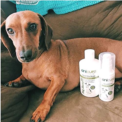 Anicura Natural Dog Gel Ointment for Itchy Skin, Hot Spots, Scabs & Wounds - PawsPlanet Australia
