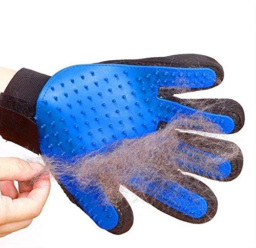 SmoothRJ Pet Beauty gloves, Pet massage hair removal gloves,Five finger design, Efficient hair removal, Not hurt the skin, Very suitable for dogs and cats with short hair - PawsPlanet Australia