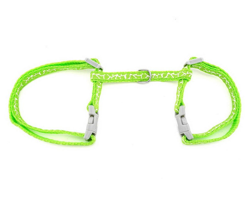 Ranphy Small Dog Halter Harness Cat Basic Harness Pet Collar with Leash Set Adjustable for Walking Training Running Hiking Green - PawsPlanet Australia