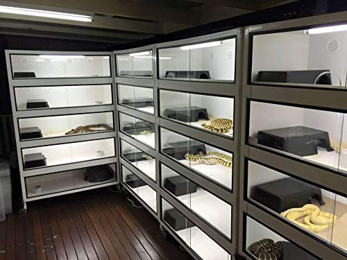 Leoterra Large Snake Hide Large Reptile Hide Box Reptile Caves Reptile Terrarium Hide Snake Cage Box Snake Hide for Snake Lizards Leopard Gecko Use Durable Material Easy to Clean Large Size L - PawsPlanet Australia